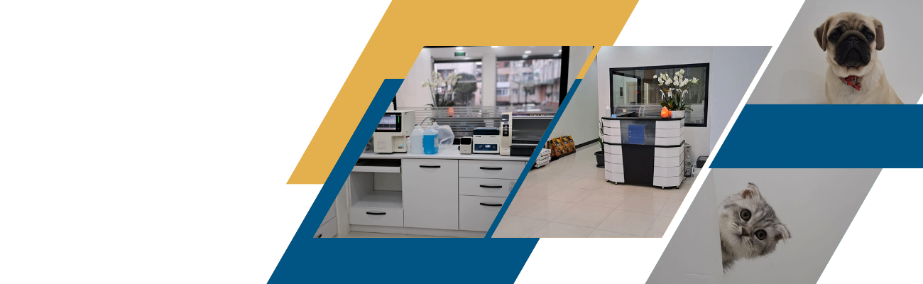 Slayt 1, Monavet Veterinerlik