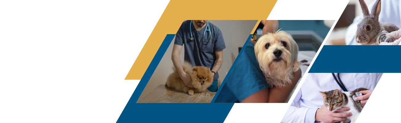 Slayt 3, Monavet Veterinerlik