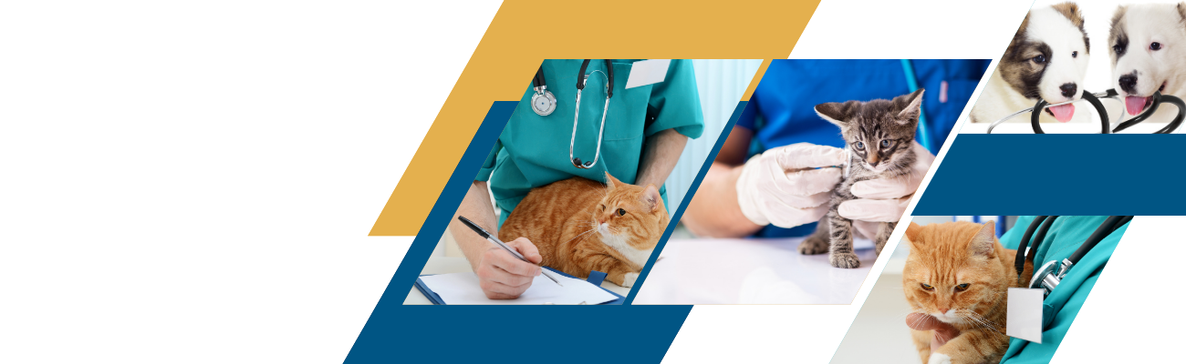 Slayt 4, Monavet Veterinerlik