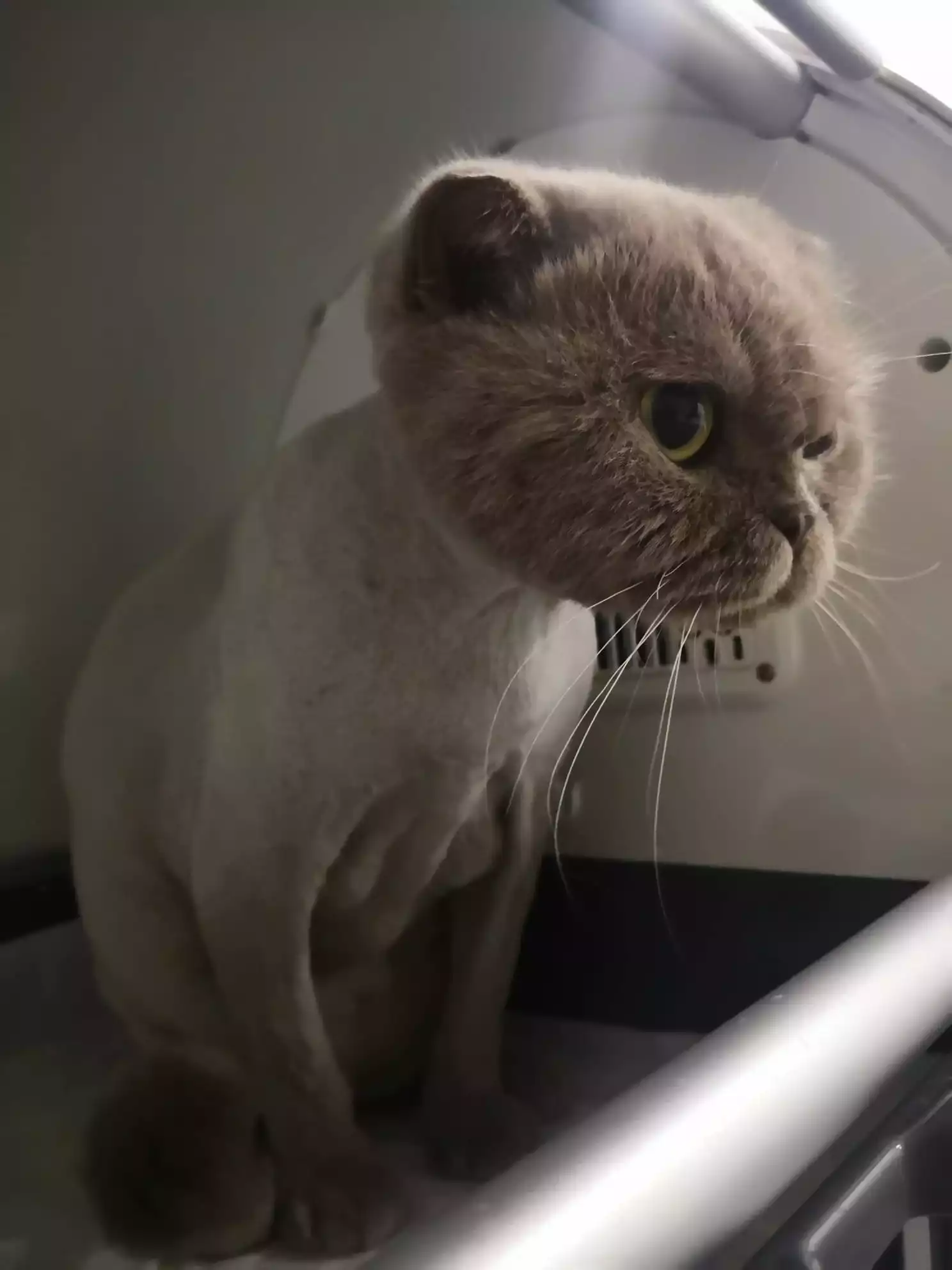 Gaziosmanpasa Veteriner 4 1, Monavet Veterinerlik