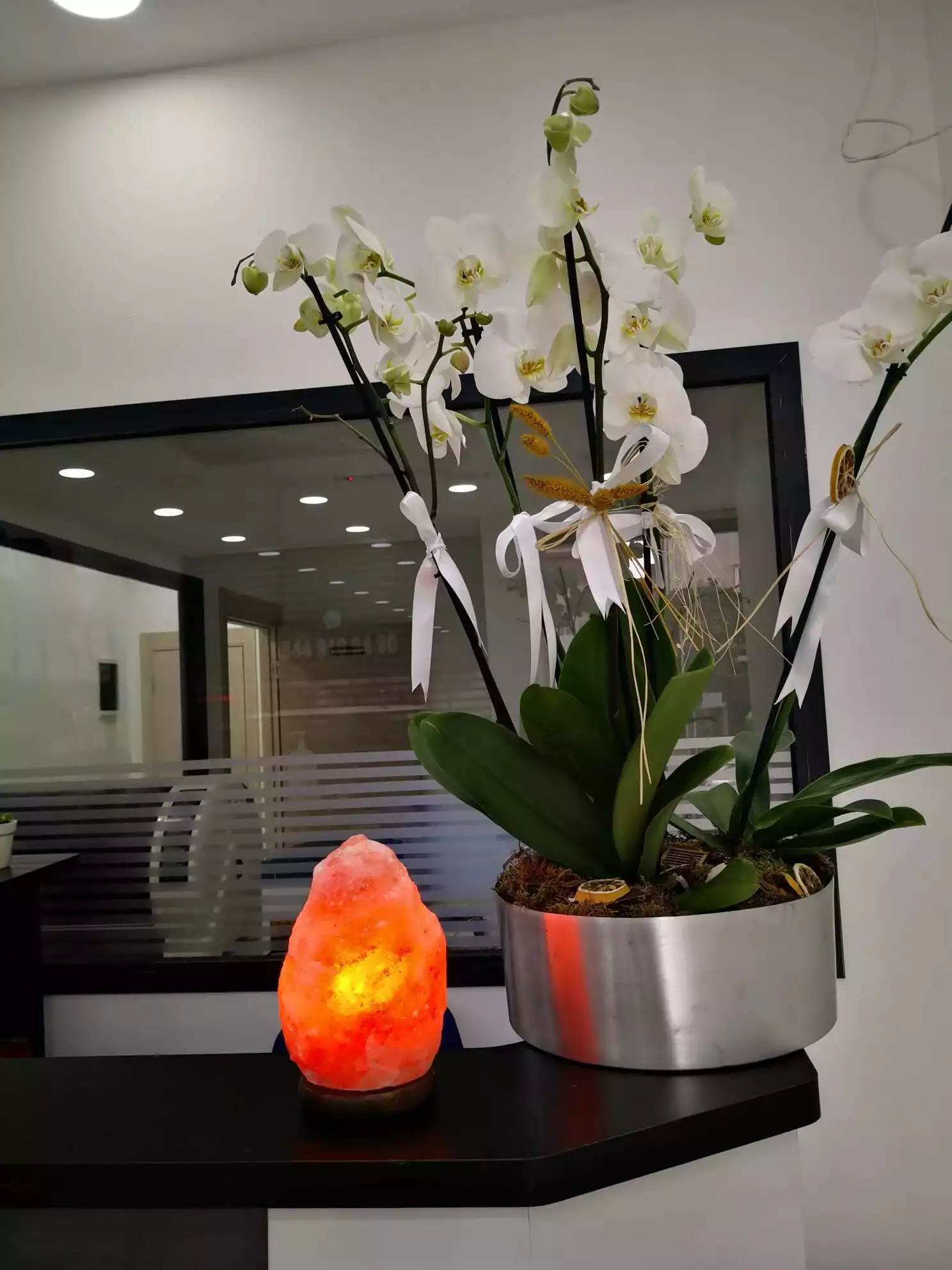 Gaziosmanpasa Veteriner 5, Monavet Veterinerlik