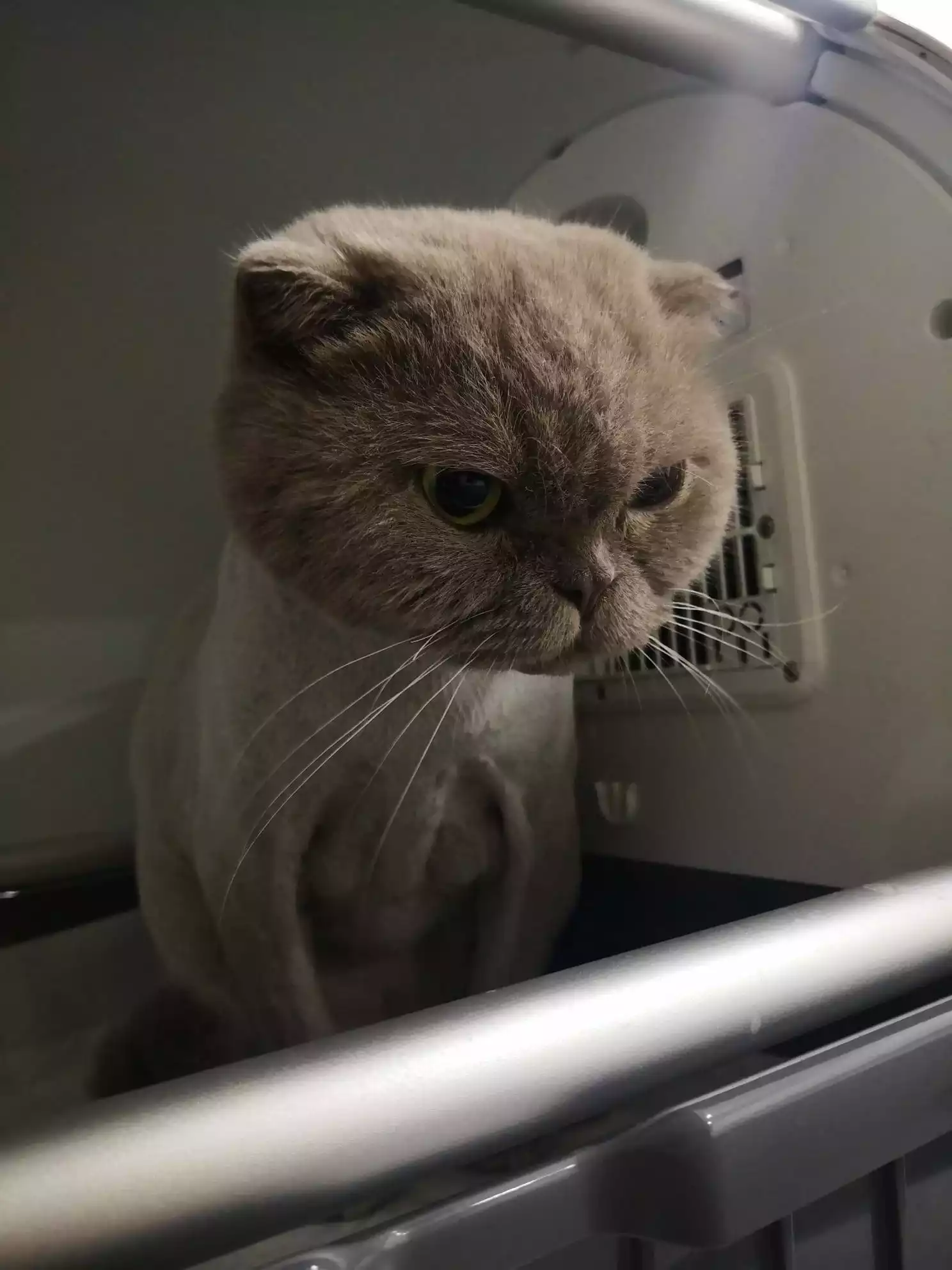 Gaziosmanpasa Veteriner 7, Monavet Veterinerlik