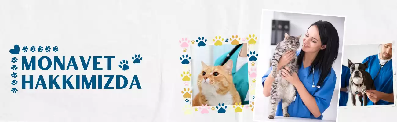 Gaziosmanpasa Veteriner Hakkimizda Min, Monavet Veterinerlik